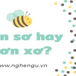 đơn sơ hay đơn xơ