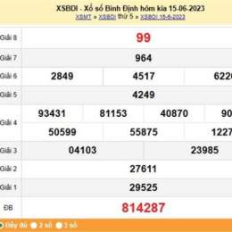 dự đoán xổ số bình định net