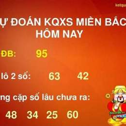 du don so xo mien nam