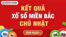 giao diện app dự đoán xổ số chủ nhật