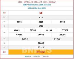 giao diện app kết quả xổ số đặc biệt theo năm
