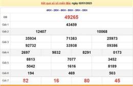 hướng dẫn sử dụng dự đoán kết quả xổ số miền