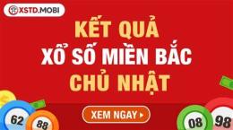 hướng dẫn sử dụng kết quả xổ số chủ nhật miền bắc hàng tuần
