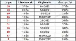 hướng dẫn sử dụng kết quả xổ số gia lai 100 ngày