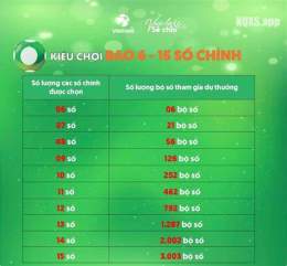hướng dẫn sử dụng kết quả xổ số lotto 535