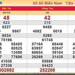 kết quả xổ số minh ngọc 30 ngày