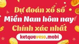 tính năng nổi bật dự đoán xổ số ba miền minh ngọc