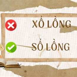 xổ lông hay sổ lông