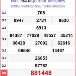 xổ số đà lạt 9/11